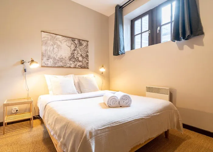 Vieux On Rue De La Monnaie! Appartement