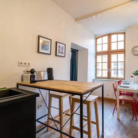 Vieux On Rue De La Monnaie! Appartement *