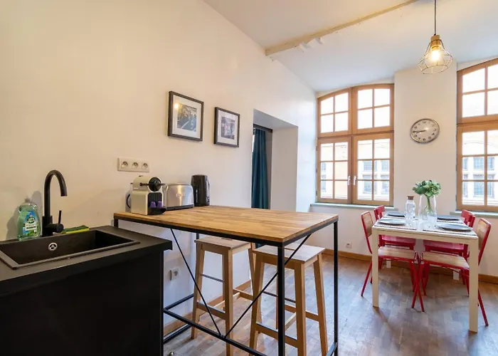 Vieux On Rue De La Monnaie! Appartement *